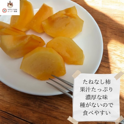 【令和8年10月上旬から発送】たねなし柿L～2Lサイズ(16～18個入り)