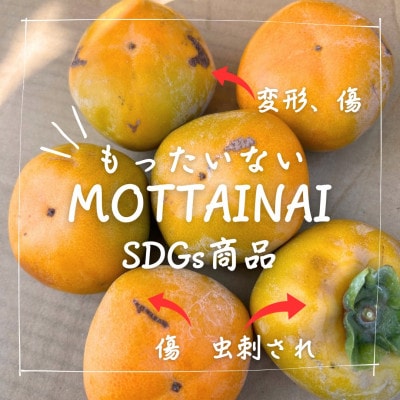 �󂠂�y�ߘa8�N10�����{��菇�������z���˂Ȃ��`L�`2L�T�C�Y(16�`18����)