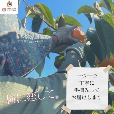 �y�ߘa8�N10����菇�������z���˂Ȃ��`L�`2L�T�C�Y(16�`18����)