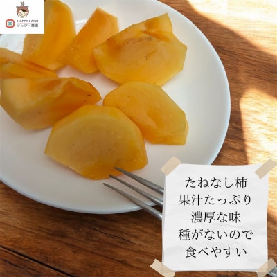 【令和8年10月より順次発送】たねなし柿L～2Lサイズ(16～18個入り)