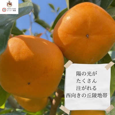 【令和8年10月より順次発送】たねなし柿L～2Lサイズ(16～18個入り)