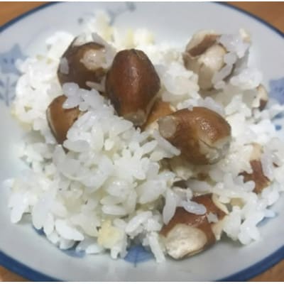 天理市産　栄養満点　アピオス　600g