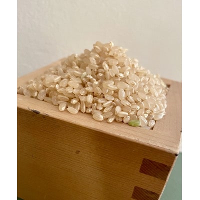 令和6年産コシヒカリ大和高原産　玄米　30kg