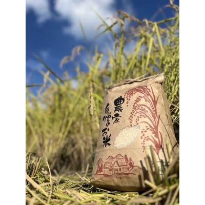 令和6年産コシヒカリ大和高原産　玄米　30kg