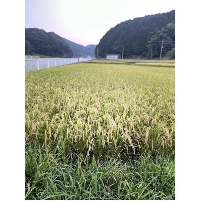 【さとふる限定】令和7年奈良県大和高原産　コシヒカリ　白米5kg×1
