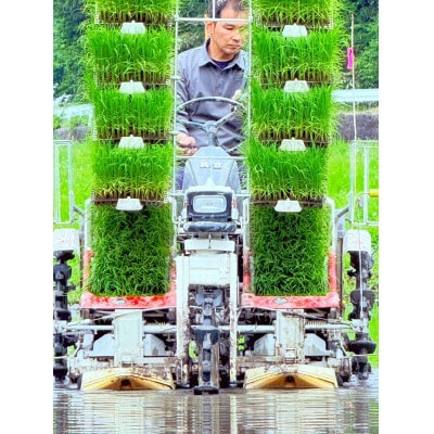 【さとふる限定】令和7年奈良県大和高原産　コシヒカリ　白米5kg×1