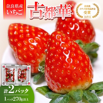 【2025年12月下旬順次発送】奈良県産いちご「古都華」2パック