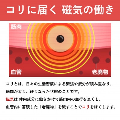 ピップエレキバン　130mT24粒 2個セット