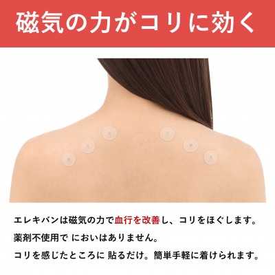 ピップエレキバン　200mT24粒 2個セット