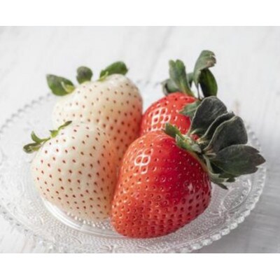 天理市産 古都華と天使のイチゴのセット　計約540g