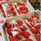 奈良県産いちごの食べ比べセット