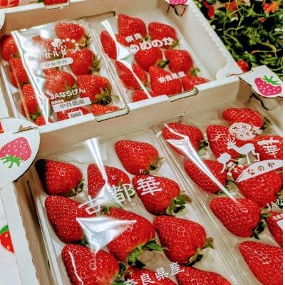 奈良県産いちごの食べ比べセット