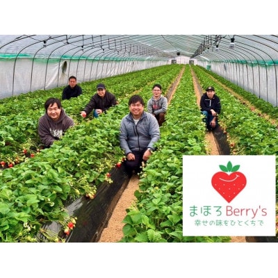 奈良県産いちごの食べ比べセット