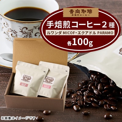 香向珈琲|小さな焙煎所が手焙煎で磨き上げた、透明感あるコーヒー豆(100g×2袋)