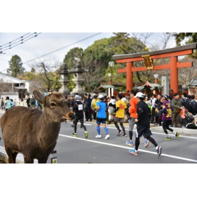 奈良マラソン2026出走権(マラソン種目)1人分