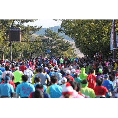 奈良マラソン2026出走権(マラソン種目)1人分