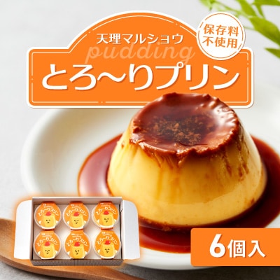 天理マルショウ とろ～りプリン　6個入