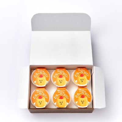 天理マルショウ とろ～りプリン　6個入