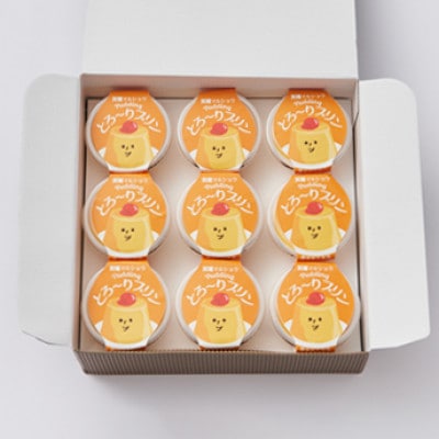 天理マルショウ とろ～りプリン　9個入