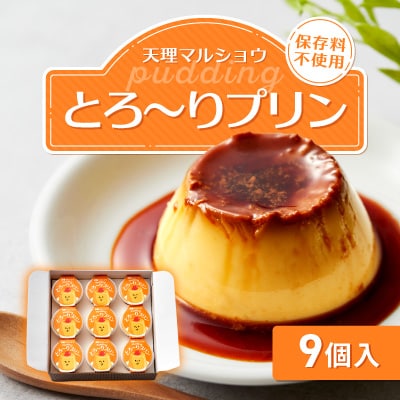 天理マルショウ とろ～りプリン　9個入