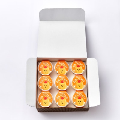 天理マルショウ とろ～りプリン　9個入