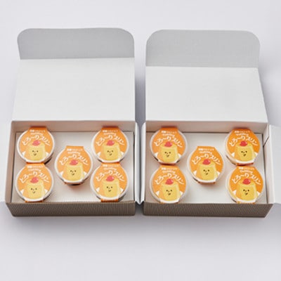 天理マルショウ とろ～りプリン　10個入