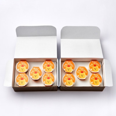 天理マルショウ とろ～りプリン　10個入