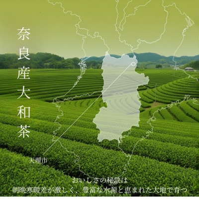 GranoTea ほっと一息 煎茶(天理市産・ティーバッグ18包)