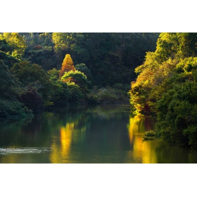 天理の風景2『 AUTUMN RADIANCE ～ 秋光 ～ 』2Lメタルグラフィックアート