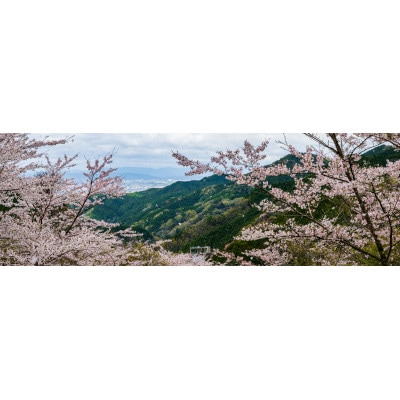 天理の風景1『FLEETING DANCE ～儚い舞～』 A4額装プリント