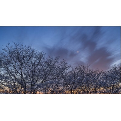 天理の風景4『 PULSE OF TIME ～ 時の鼓動 ～ 』A4額装プリント