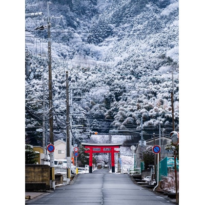 天理の風景6『 THE GATE 』A4メタルグラフィックアート