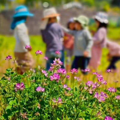 【親子で自然ホイスコーレ一日体験参加チケット】～親子で森のようちえん体験♪～