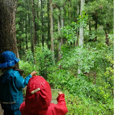 【親子で自然ホイスコーレ一日体験参加チケット】～親子で森のようちえん体験♪～
