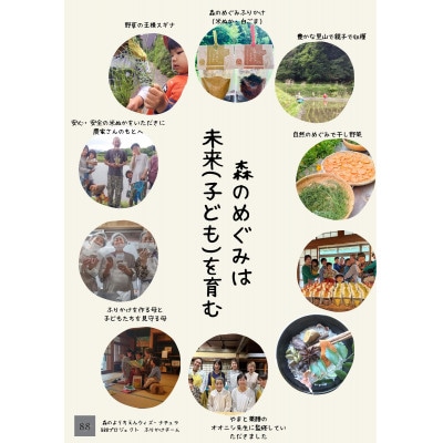 森のめぐみふりかけ　2種セット(米ぬか、白ごま)
