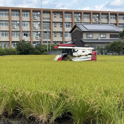 奈良県産ヒノヒカリ 精米 5kg