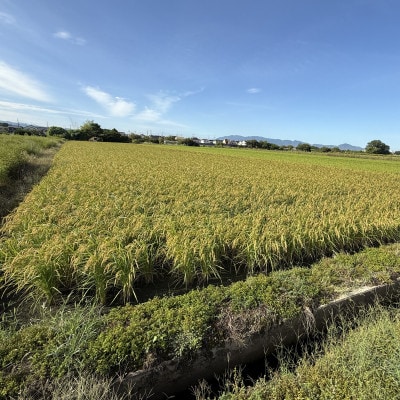奈良県産ヒノヒカリ 精米 5kg