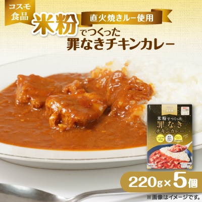 米粉でつくった罪なきチキンカレー　220g×5個