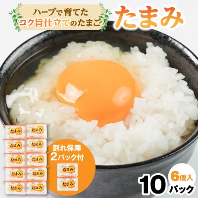 いすみポートリー産たまご「たまみ」6個入×10パック+割れ保障2パック