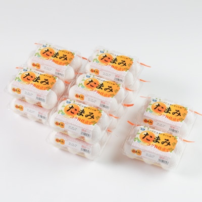 いすみポートリー産たまご「たまみ」6個入×10パック+割れ保障2パック