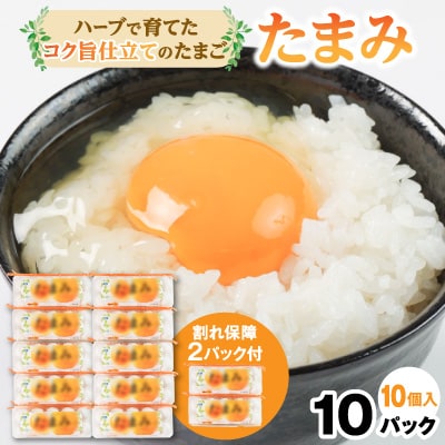 いすみポートリー「たまみ」コク旨仕立て10個入×10パック+割れ保障10個×2パック付