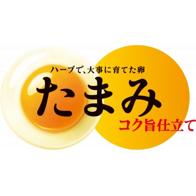 いすみポートリー「たまみ」コク旨仕立て10個入×10パック+割れ保障10個×2パック付