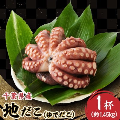 地だこ 1杯(1.45kg)