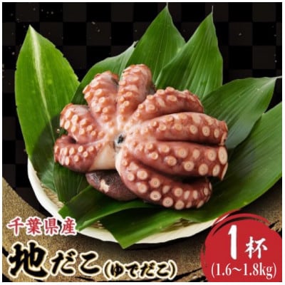 地だこ　1杯(1.6kg～1.8kg)