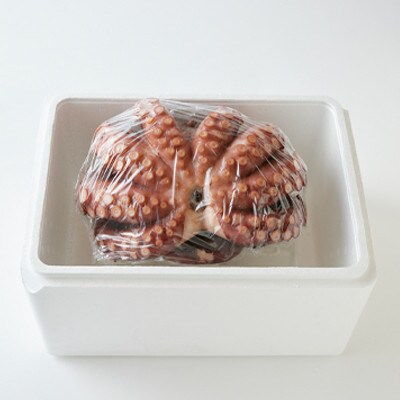 地だこ　1杯(1.6kg～1.8kg)