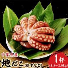 地だこ 1杯 (1.8kg～2.0kg)