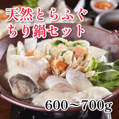 天然とらふぐちり鍋セット(600～700g)千葉県大原産