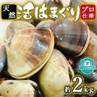 プロも認める活はまぐり 国産 天然 約2.0kg 千葉県産 九十九里産