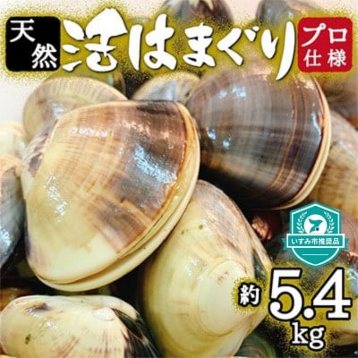 プロも認める活はまぐり 国産 天然 約5.4kg 千葉県 九十九里産