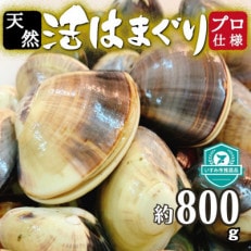 天然はまぐり約800g (千葉県産)